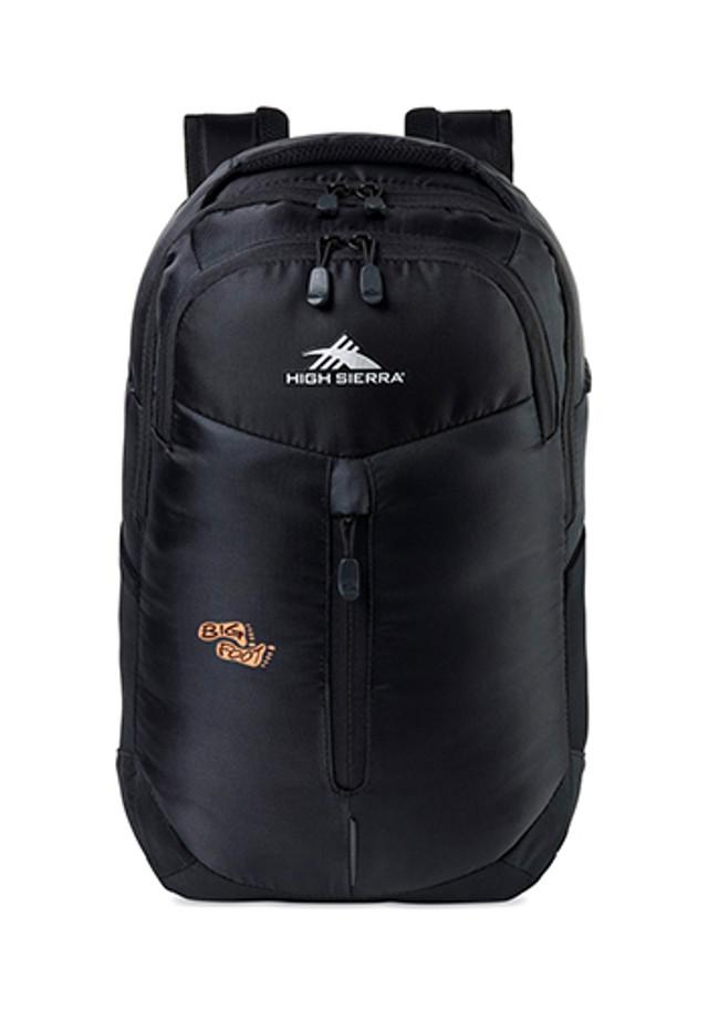 High Sierra Swerve Pro Laptop Backpack
