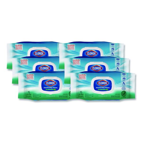 Clorox Disinfecting Cleaning Wipes, Flex Pack, 1-Ply, 8 x 7, Fresh Scent, White, 75 Towels/Box, 6 Boxes/Carton