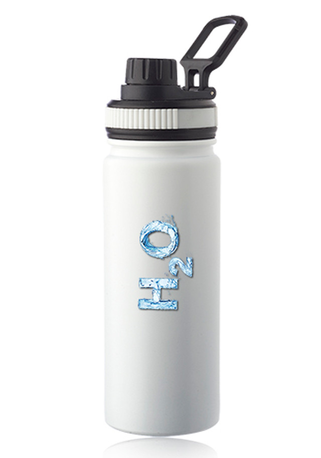 Houston 23 oz. Stainless Steel Water Bottle with Carrying Handle